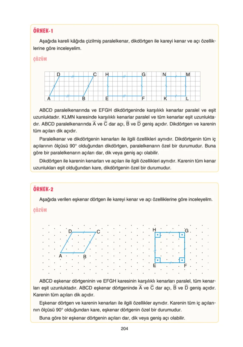 5. Sınıf Matematik Ders Kitabı Cevapları Tuna Yayınları Sayfa 204
