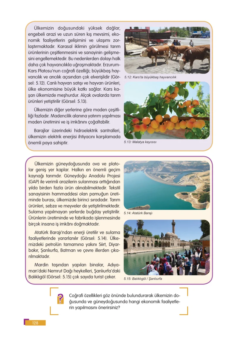 5. Sınıf Sosyal Bilgiler Ders Kitabı Cevapları E Kare Yayınları Sayfa 128