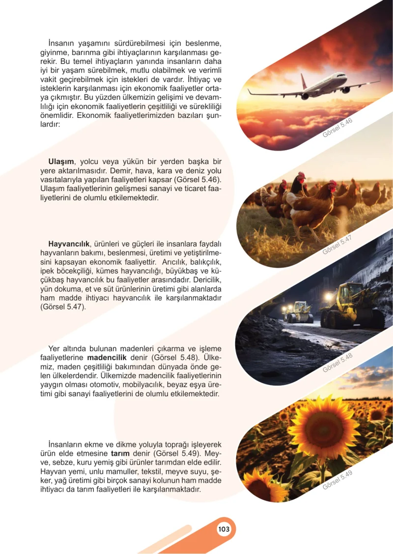 5. Sınıf Sosyal Bilgiler Ders Kitabı Cevapları Meb Yayınları 2. Kitap Sayfa 103