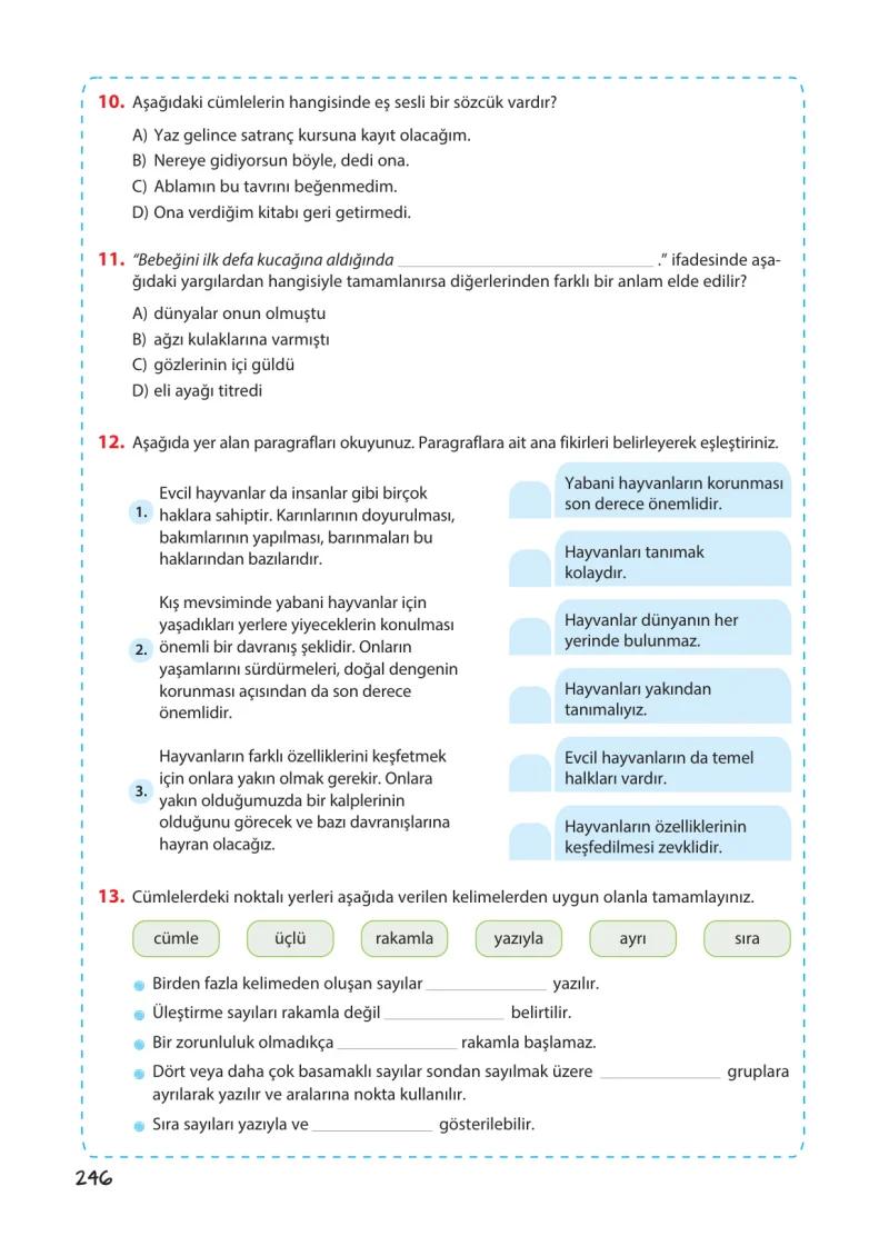 5. Sınıf Türkçe Ders Kitabı Cevapları Koza Yayınları Sayfa 246