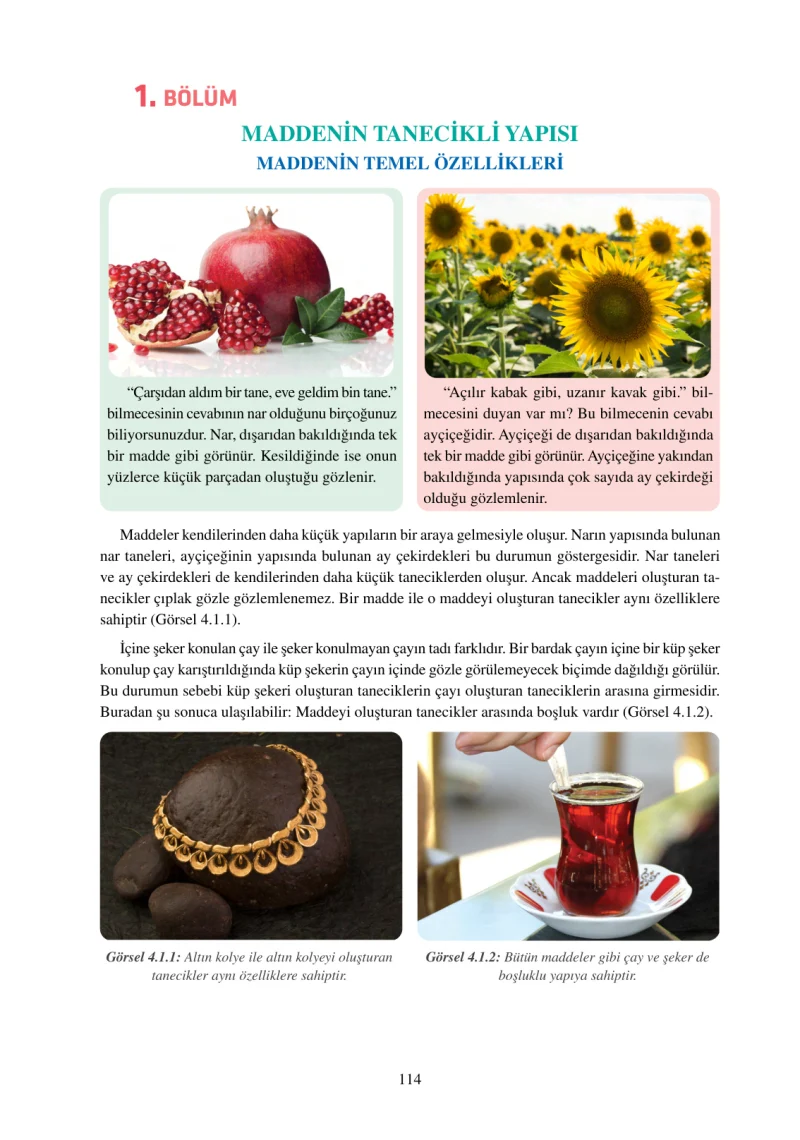 6. Sınıf Fen Bilimleri Ders Kitabı Cevapları Adım Adım Yayınları Sayfa 114