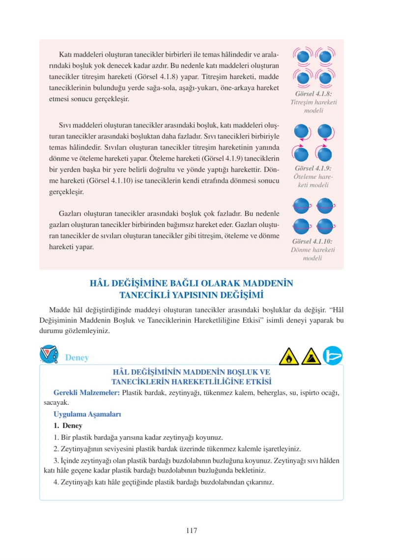 6. Sınıf Fen Bilimleri Ders Kitabı Cevapları Adım Adım Yayınları Sayfa 117