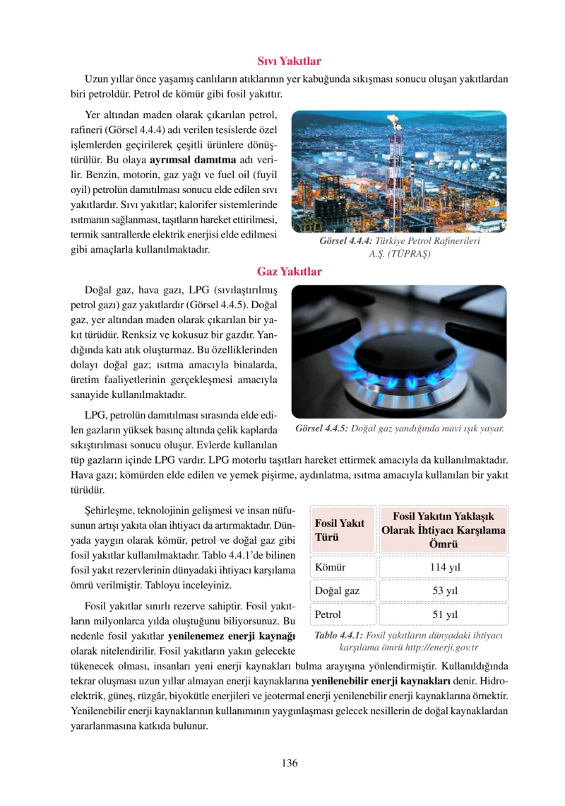 6. Sınıf Fen Bilimleri Ders Kitabı Cevapları Adım Adım Yayınları Sayfa 136