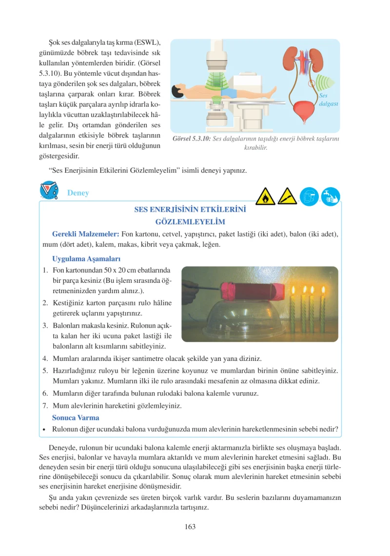 6. Sınıf Fen Bilimleri Ders Kitabı Cevapları Adım Adım Yayınları Sayfa 163