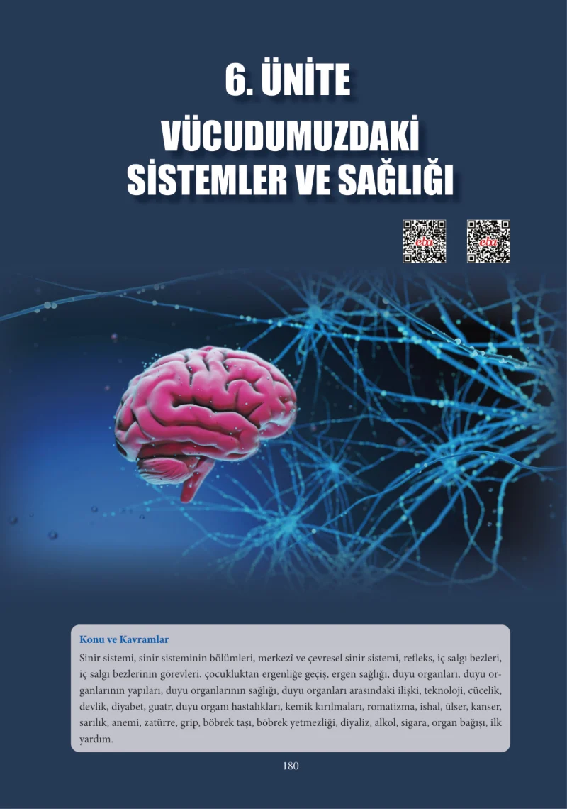 6. Sınıf Fen Bilimleri Ders Kitabı Cevapları Adım Adım Yayınları Sayfa 180