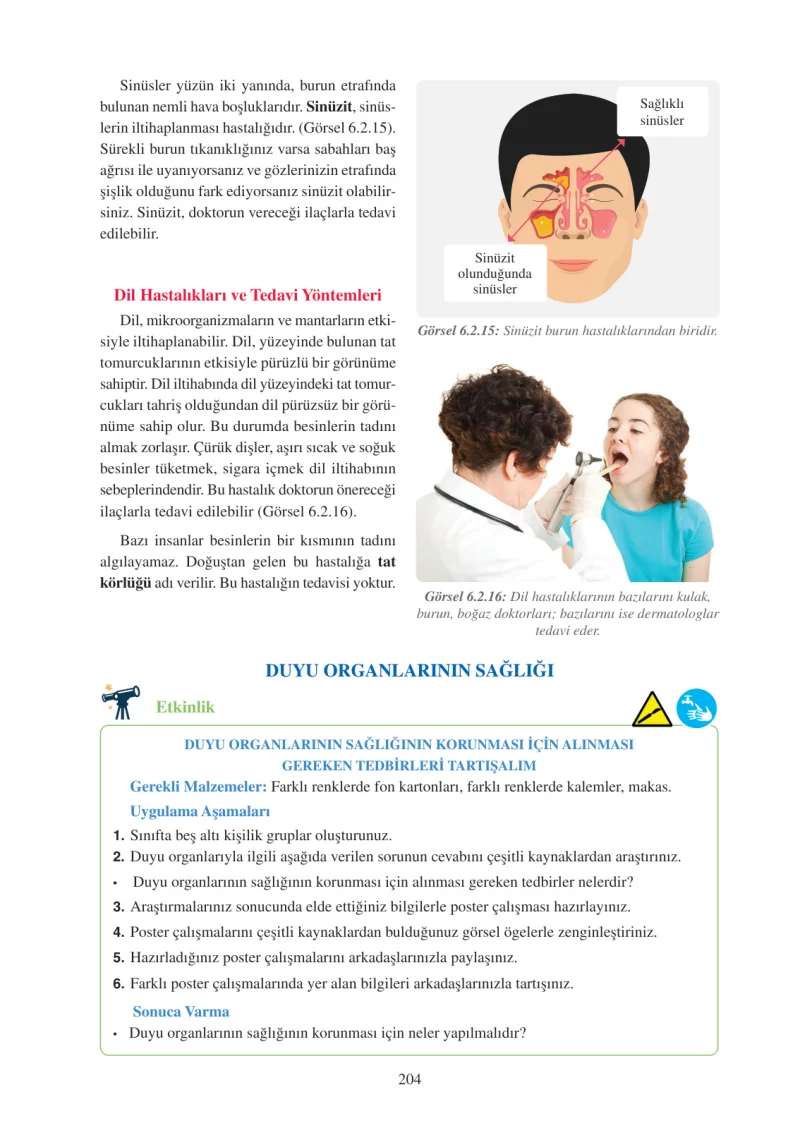 6. Sınıf Fen Bilimleri Ders Kitabı Cevapları Adım Adım Yayınları Sayfa 204