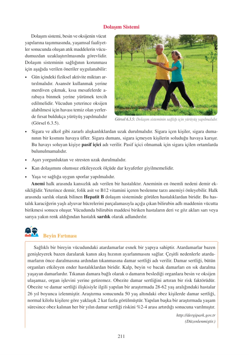 6. Sınıf Fen Bilimleri Ders Kitabı Cevapları Adım Adım Yayınları Sayfa 211