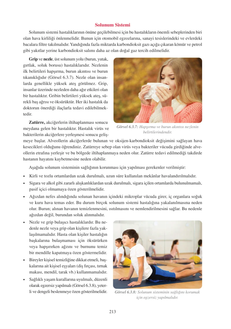 6. Sınıf Fen Bilimleri Ders Kitabı Cevapları Adım Adım Yayınları Sayfa 213