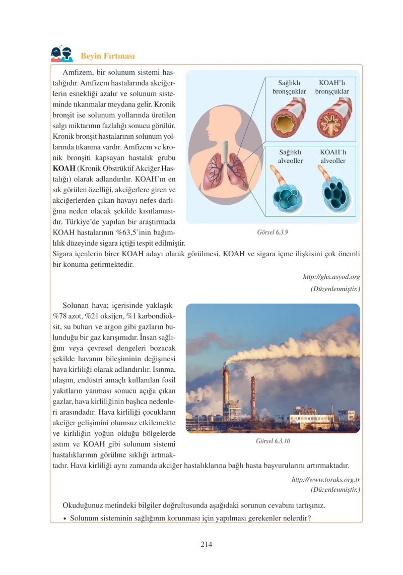 6. Sınıf Fen Bilimleri Ders Kitabı Cevapları Adım Adım Yayınları Sayfa 214