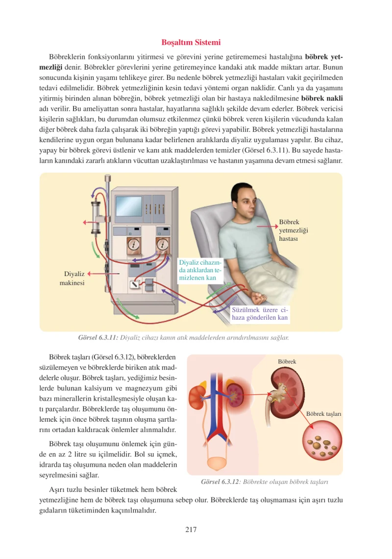 6. Sınıf Fen Bilimleri Ders Kitabı Cevapları Adım Adım Yayınları Sayfa 217