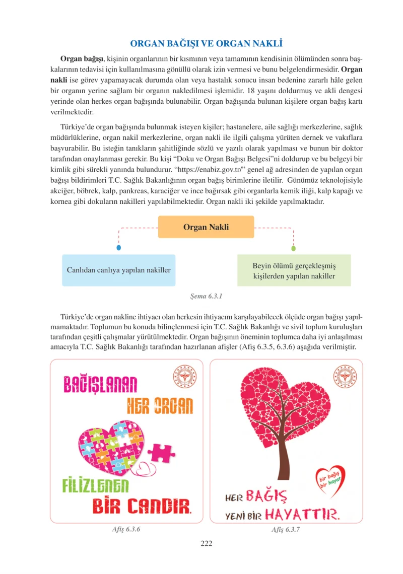 6. Sınıf Fen Bilimleri Ders Kitabı Cevapları Adım Adım Yayınları Sayfa 222