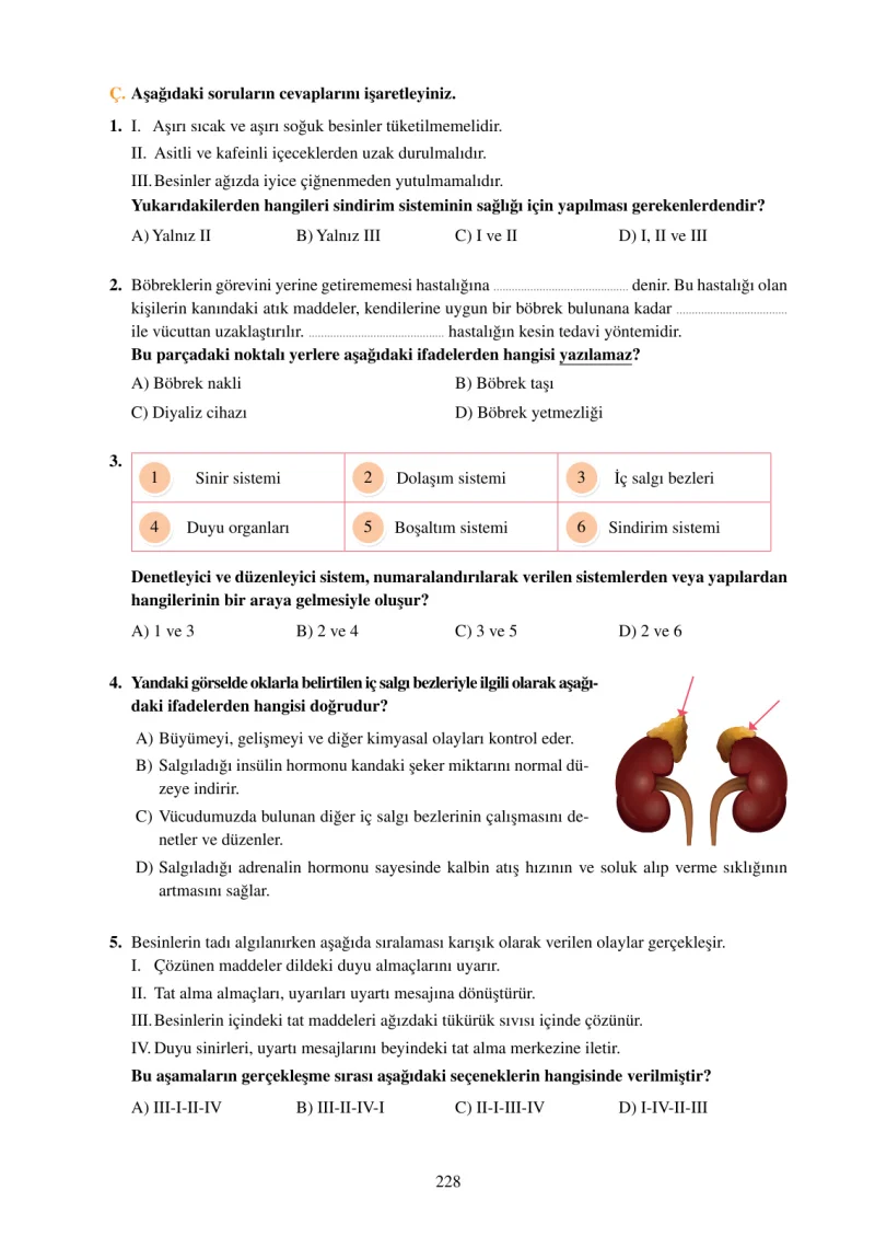 6. Sınıf Fen Bilimleri Ders Kitabı Cevapları Adım Adım Yayınları Sayfa 228