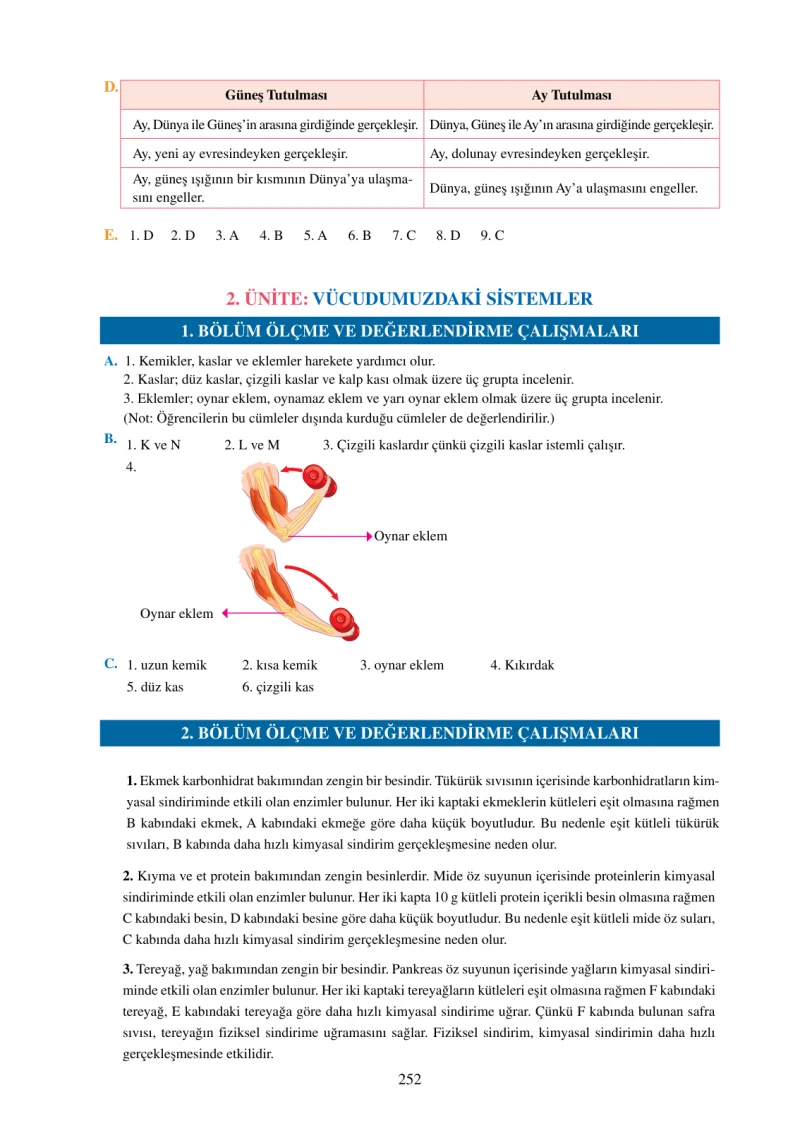 6. Sınıf Fen Bilimleri Ders Kitabı Cevapları Adım Adım Yayınları Sayfa 252