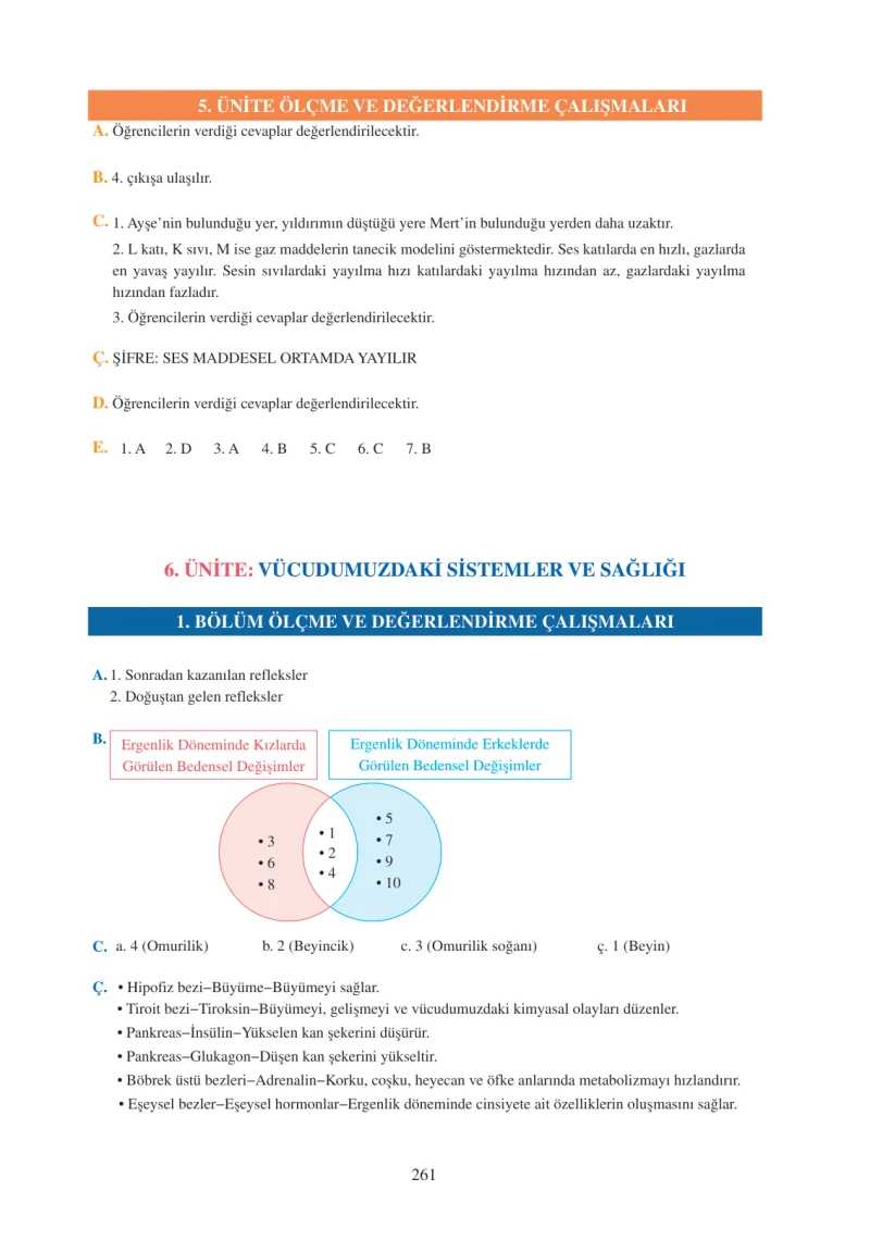 6. Sınıf Fen Bilimleri Ders Kitabı Cevapları Adım Adım Yayınları Sayfa 261
