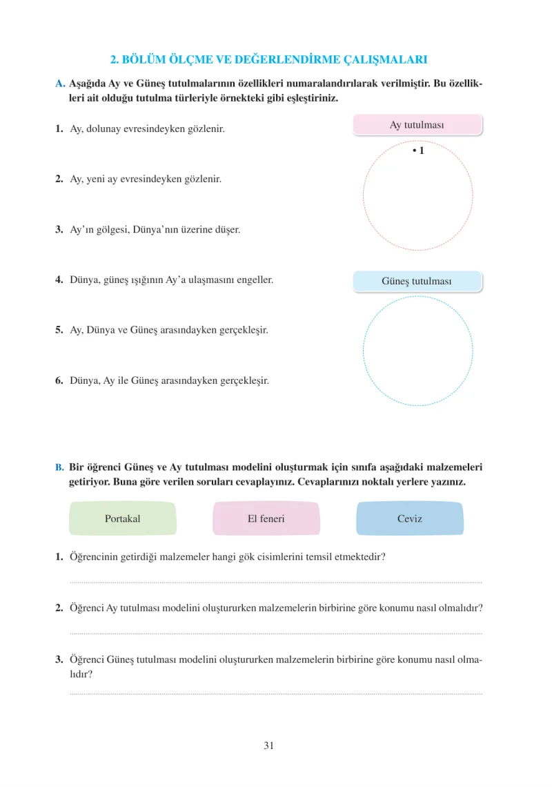 6. Sınıf Fen Bilimleri Ders Kitabı Cevapları Adım Adım Yayınları Sayfa 31