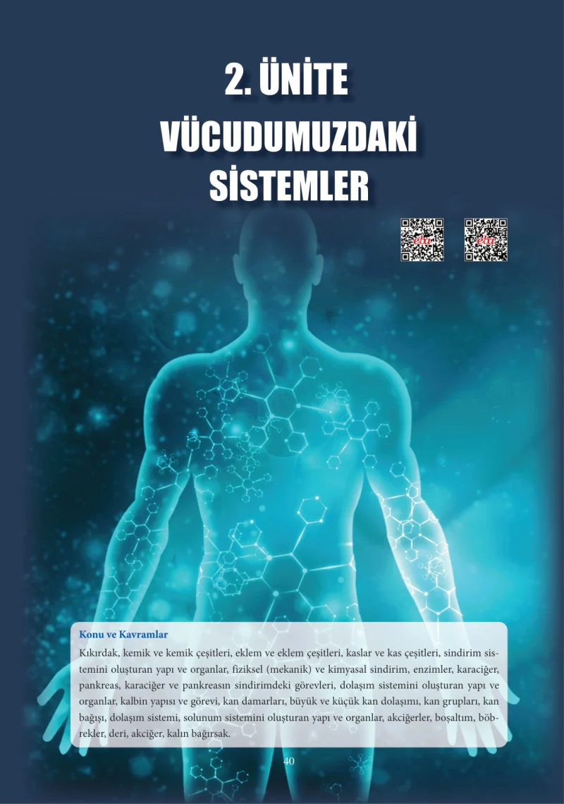 6. Sınıf Fen Bilimleri Ders Kitabı Cevapları Adım Adım Yayınları Sayfa 40