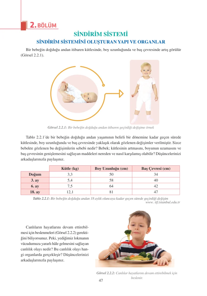 6. Sınıf Fen Bilimleri Ders Kitabı Cevapları Adım Adım Yayınları Sayfa 47