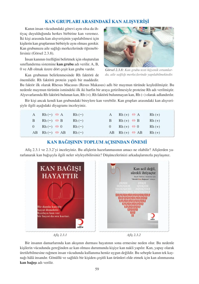6. Sınıf Fen Bilimleri Ders Kitabı Cevapları Adım Adım Yayınları Sayfa 59