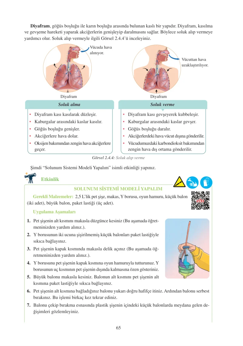 6. Sınıf Fen Bilimleri Ders Kitabı Cevapları Adım Adım Yayınları Sayfa 65