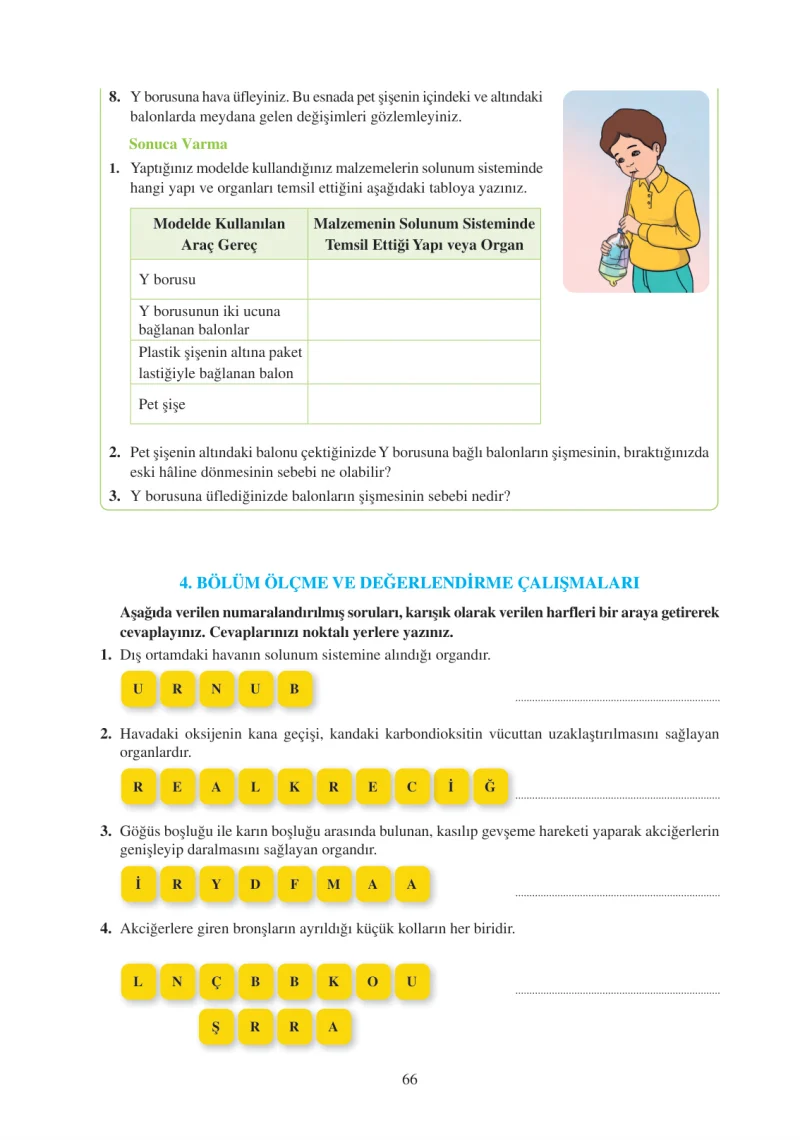 6. Sınıf Fen Bilimleri Ders Kitabı Cevapları Adım Adım Yayınları Sayfa 66