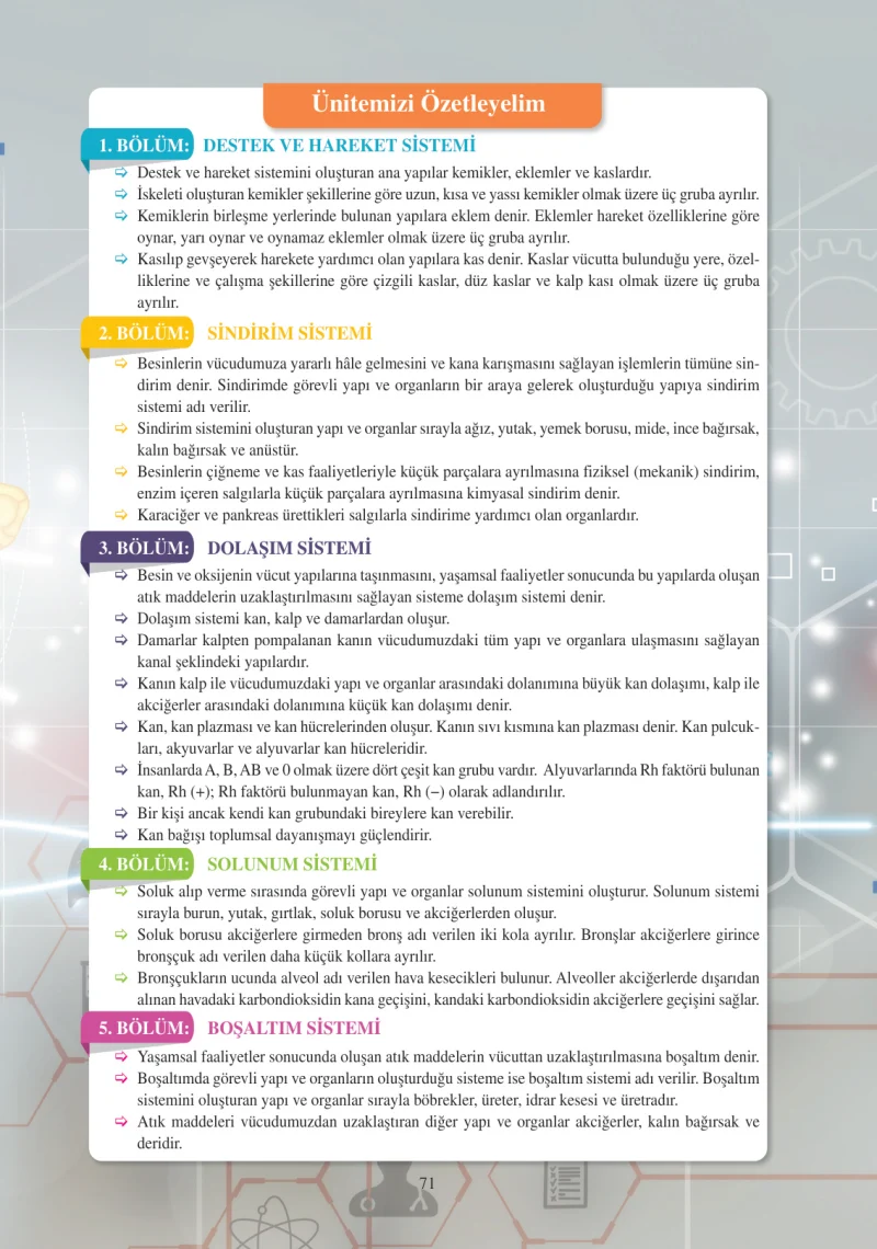 6. Sınıf Fen Bilimleri Ders Kitabı Cevapları Adım Adım Yayınları Sayfa 71