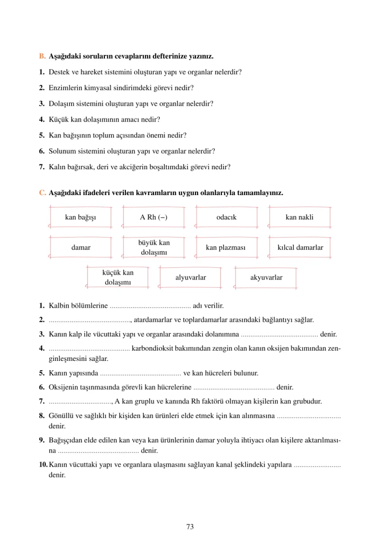 6. Sınıf Fen Bilimleri Ders Kitabı Cevapları Adım Adım Yayınları Sayfa 73