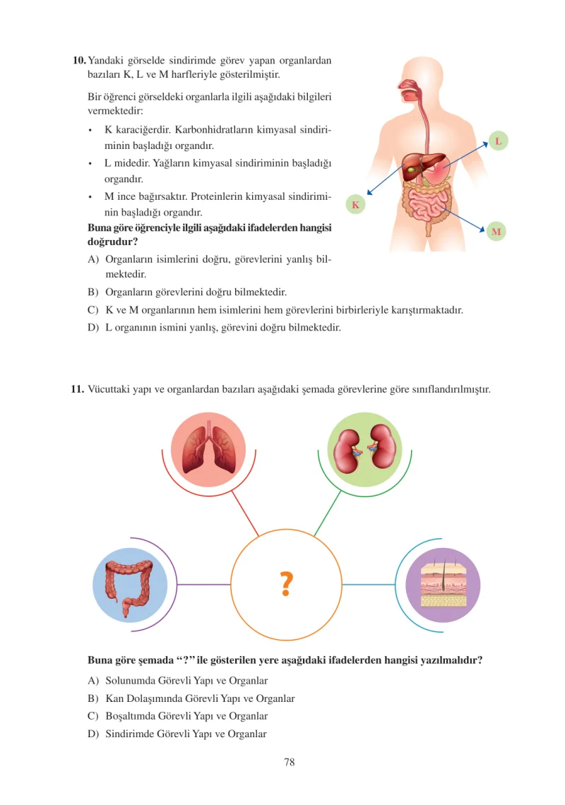 6. Sınıf Fen Bilimleri Ders Kitabı Cevapları Adım Adım Yayınları Sayfa 78