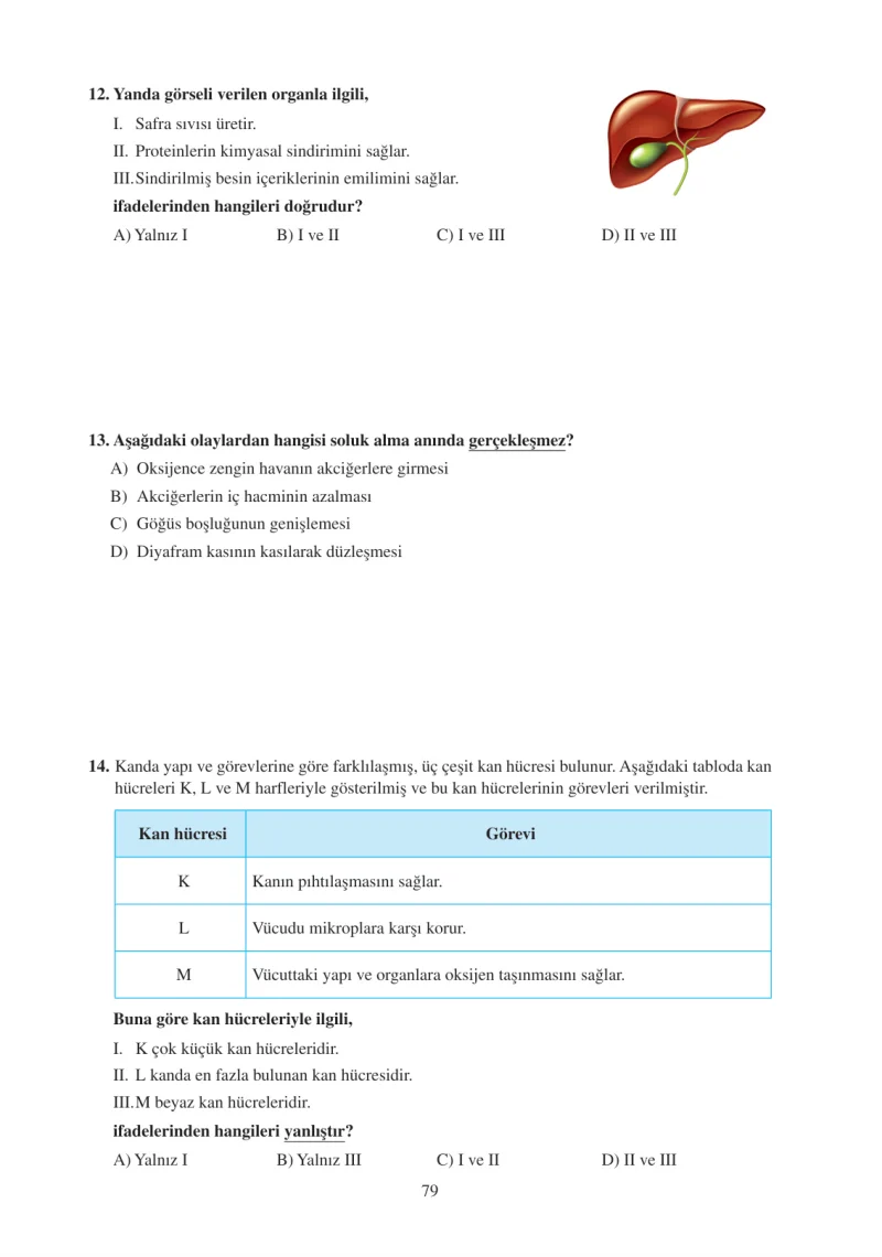 6. Sınıf Fen Bilimleri Ders Kitabı Cevapları Adım Adım Yayınları Sayfa 79