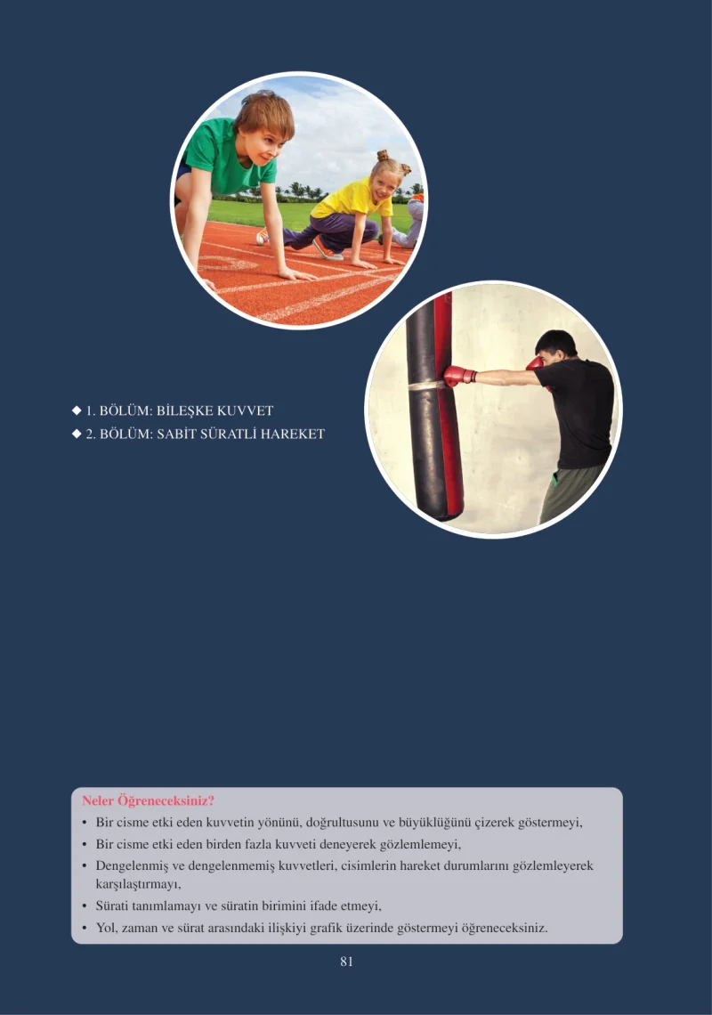 6. Sınıf Fen Bilimleri Ders Kitabı Cevapları Adım Adım Yayınları Sayfa 81