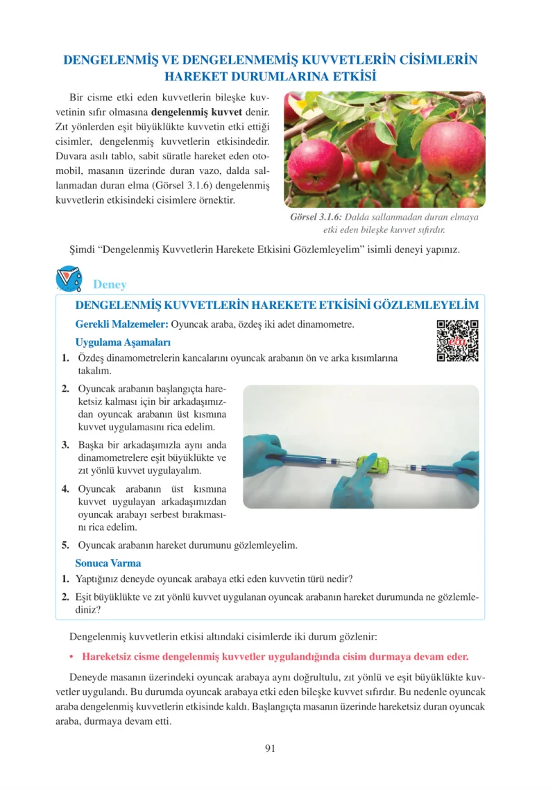 6. Sınıf Fen Bilimleri Ders Kitabı Cevapları Adım Adım Yayınları Sayfa 91
