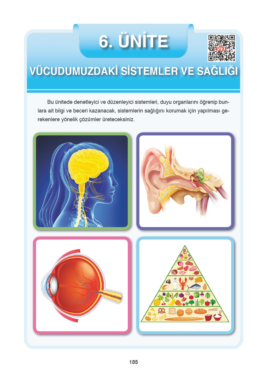 Kitap Sayfası