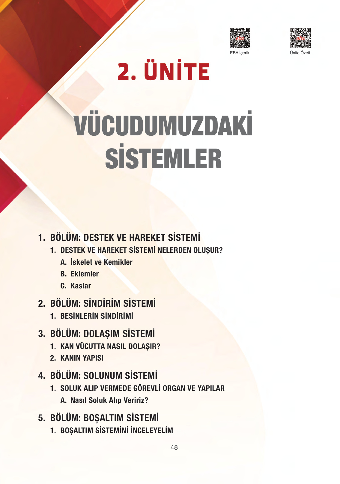 Kitap Sayfası