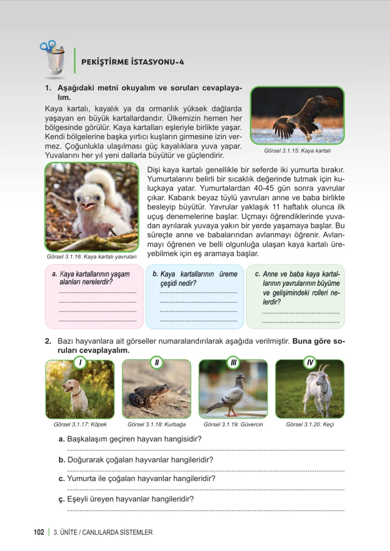 6. Sınıf Fen Bilimleri Ders Kitabı Cevapları Meb Yayınları 1. Kitap Sayfa 102