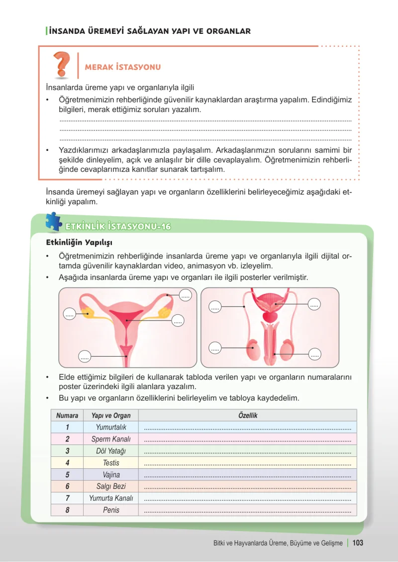 6. Sınıf Fen Bilimleri Ders Kitabı Cevapları Meb Yayınları 1. Kitap Sayfa 103
