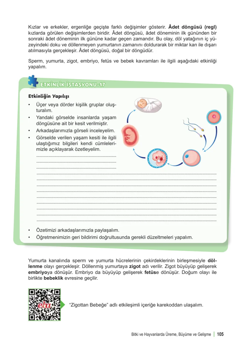 6. Sınıf Fen Bilimleri Ders Kitabı Cevapları Meb Yayınları 1. Kitap Sayfa 105