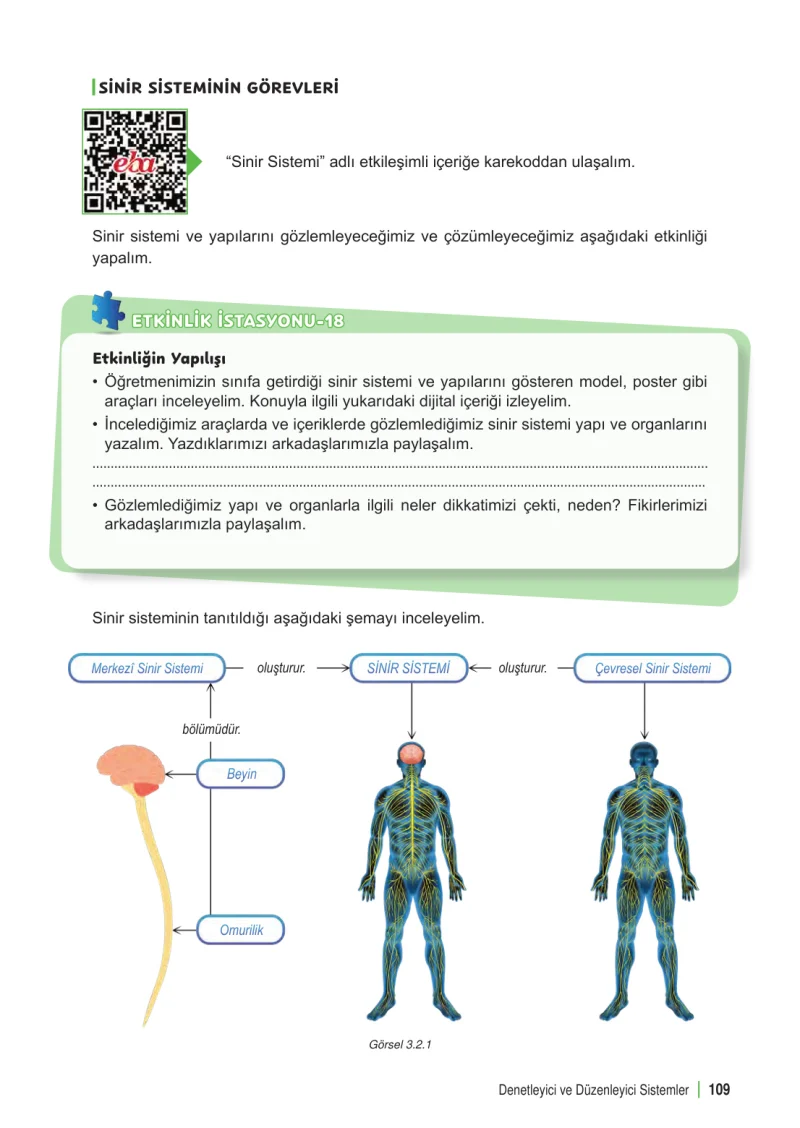6. Sınıf Fen Bilimleri Ders Kitabı Cevapları Meb Yayınları 1. Kitap Sayfa 109