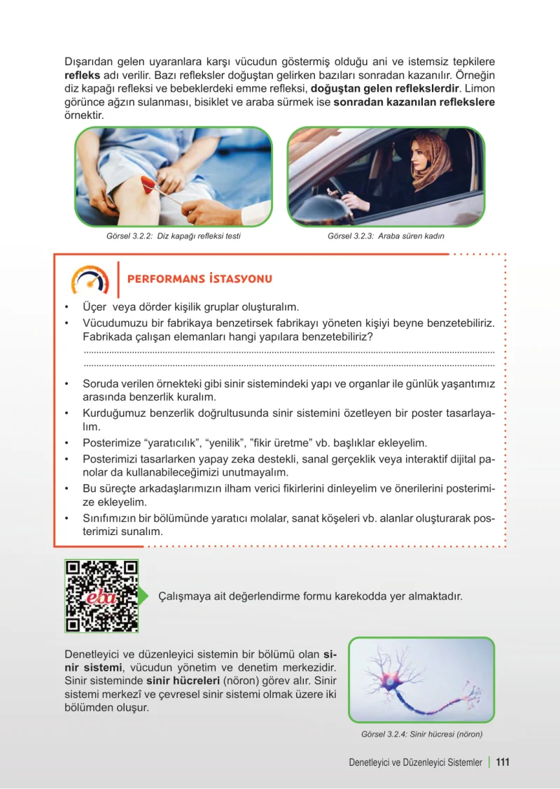 6. Sınıf Fen Bilimleri Ders Kitabı Cevapları Meb Yayınları 1. Kitap Sayfa 111