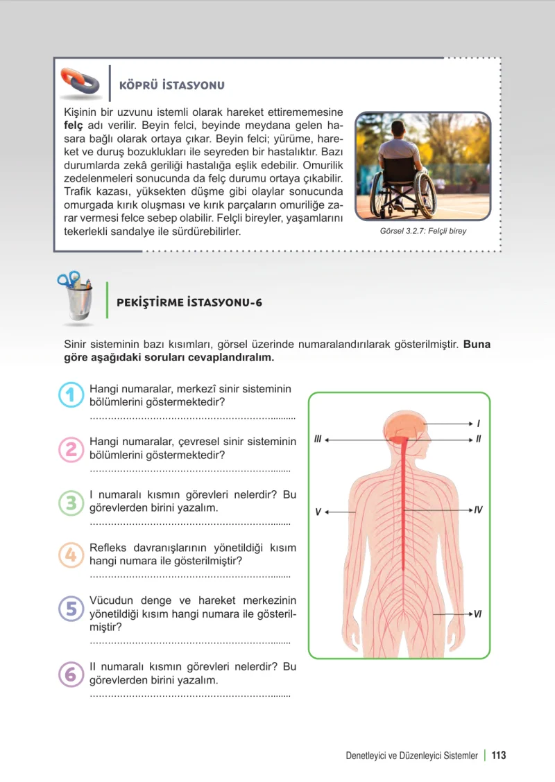 6. Sınıf Fen Bilimleri Ders Kitabı Cevapları Meb Yayınları 1. Kitap Sayfa 113