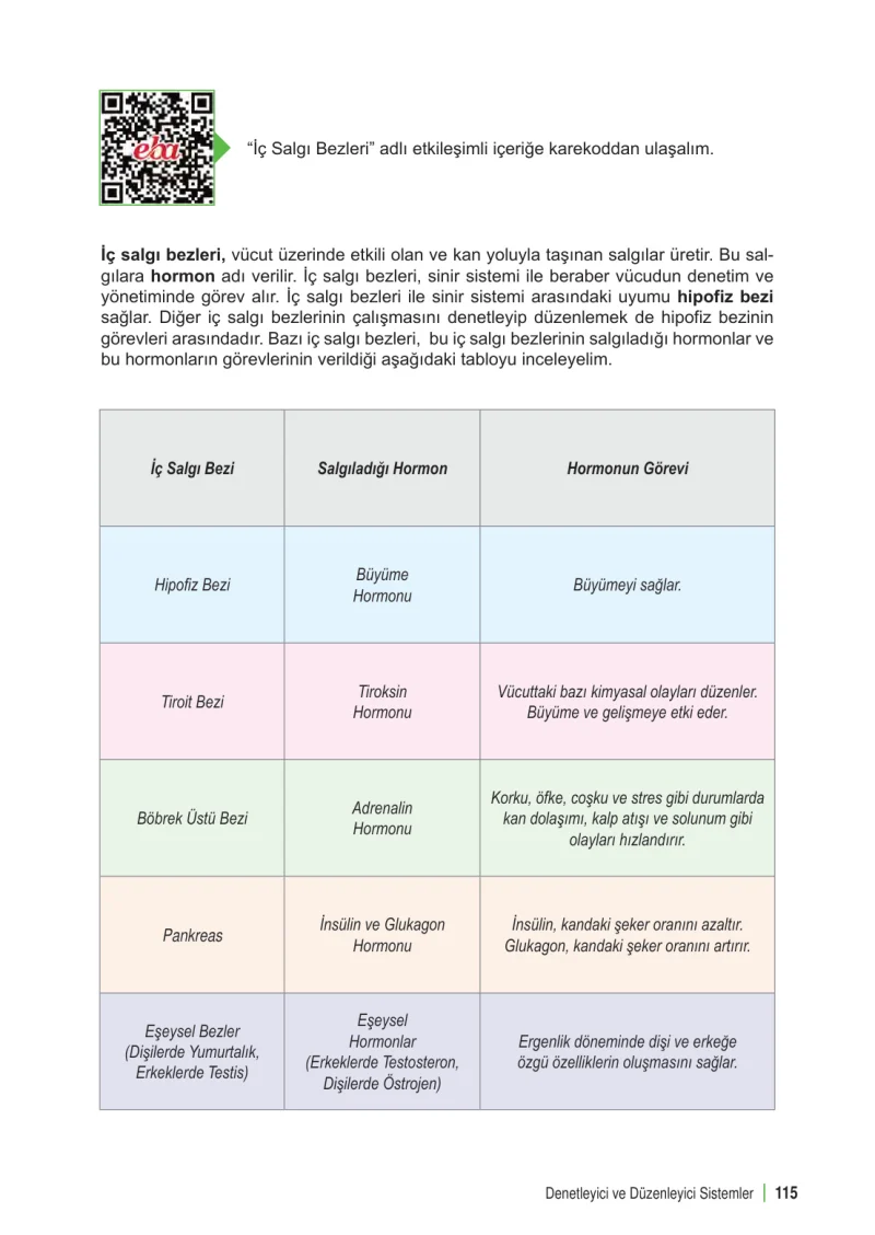 6. Sınıf Fen Bilimleri Ders Kitabı Cevapları Meb Yayınları 1. Kitap Sayfa 115