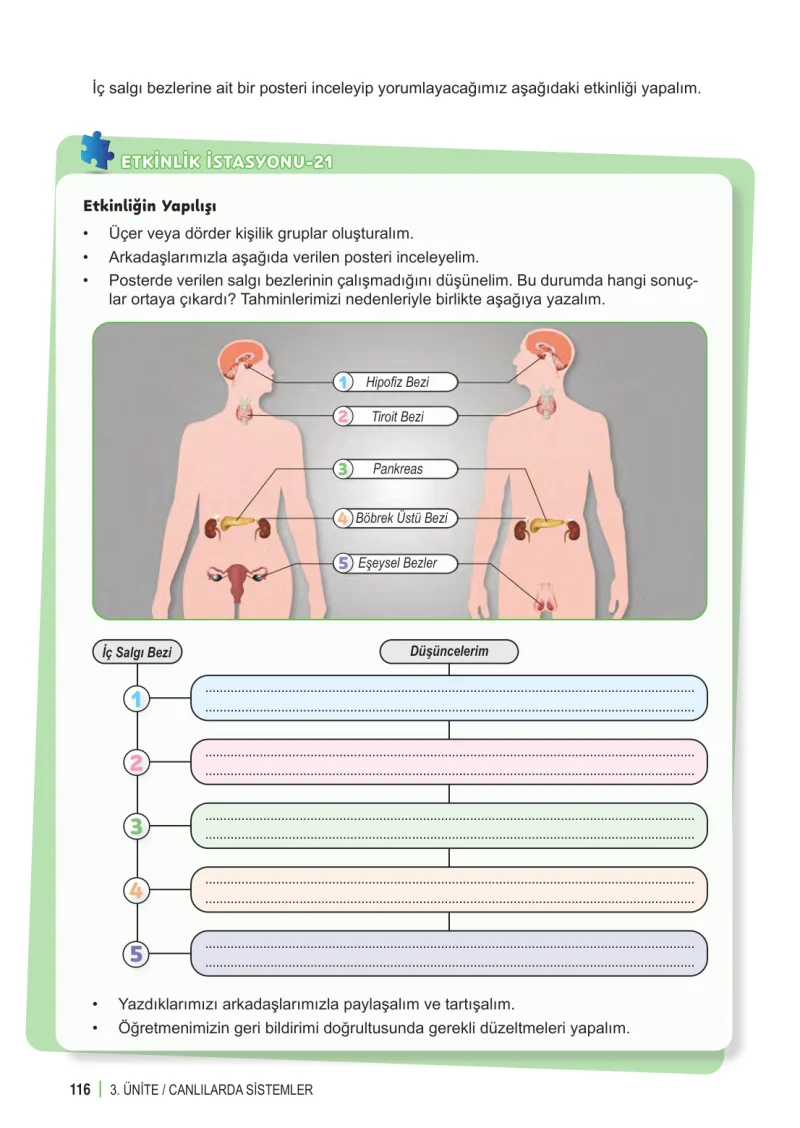 6. Sınıf Fen Bilimleri Ders Kitabı Cevapları Meb Yayınları 1. Kitap Sayfa 116