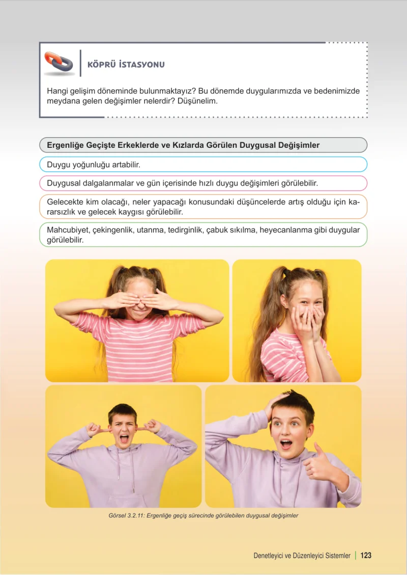 6. Sınıf Fen Bilimleri Ders Kitabı Cevapları Meb Yayınları 1. Kitap Sayfa 123