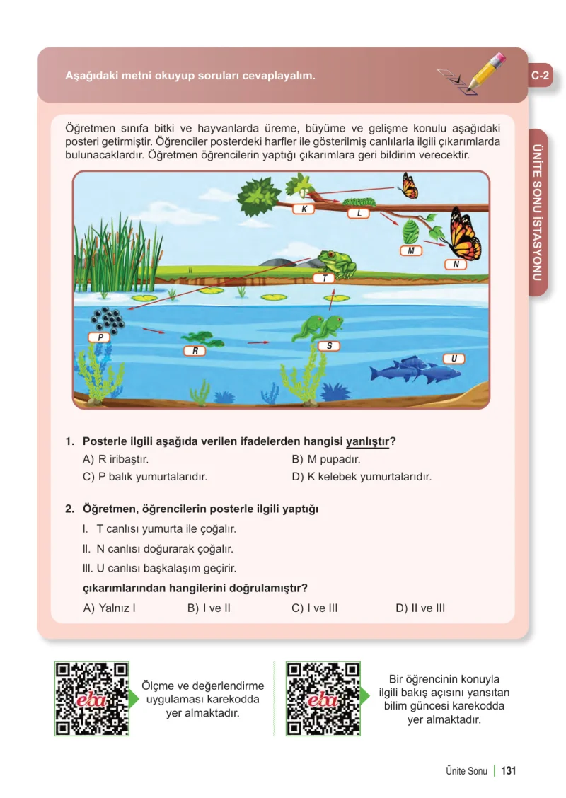 6. Sınıf Fen Bilimleri Ders Kitabı Cevapları Meb Yayınları 1. Kitap Sayfa 131