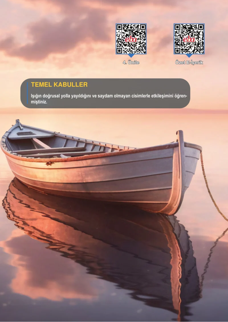 6. Sınıf Fen Bilimleri Ders Kitabı Cevapları Meb Yayınları 1. Kitap Sayfa 133