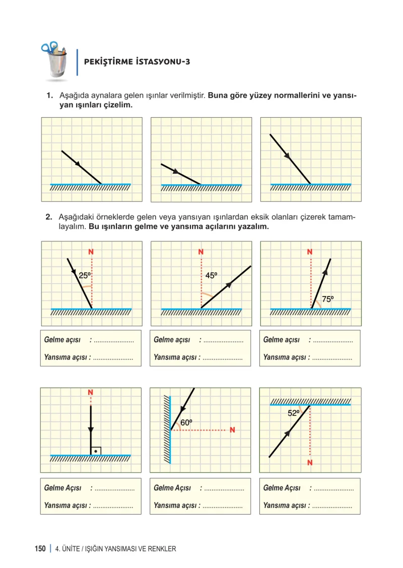 6. Sınıf Fen Bilimleri Ders Kitabı Cevapları Meb Yayınları 1. Kitap Sayfa 150