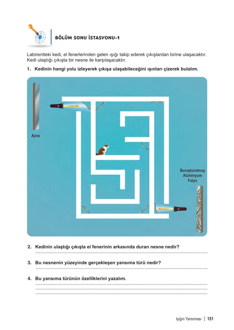 6. Sınıf Fen Bilimleri Ders Kitabı Cevapları Meb Yayınları 1. Kitap Sayfa 151