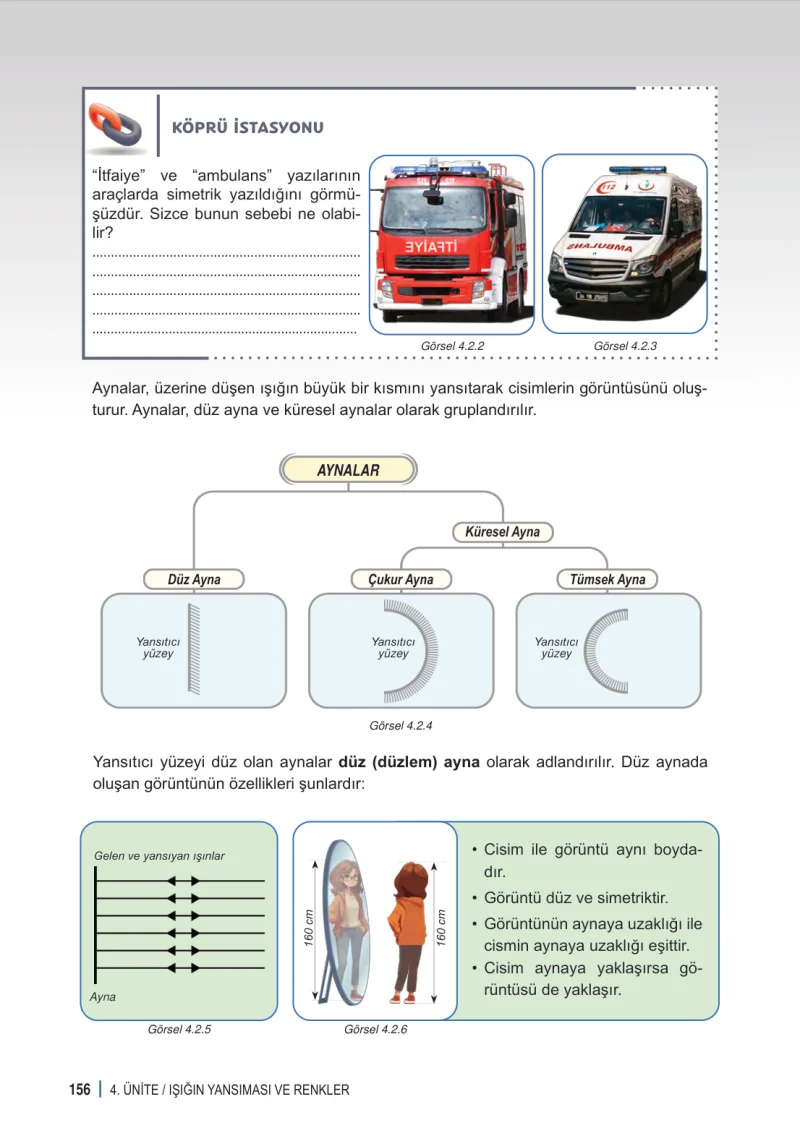 6. Sınıf Fen Bilimleri Ders Kitabı Cevapları Meb Yayınları 1. Kitap Sayfa 156