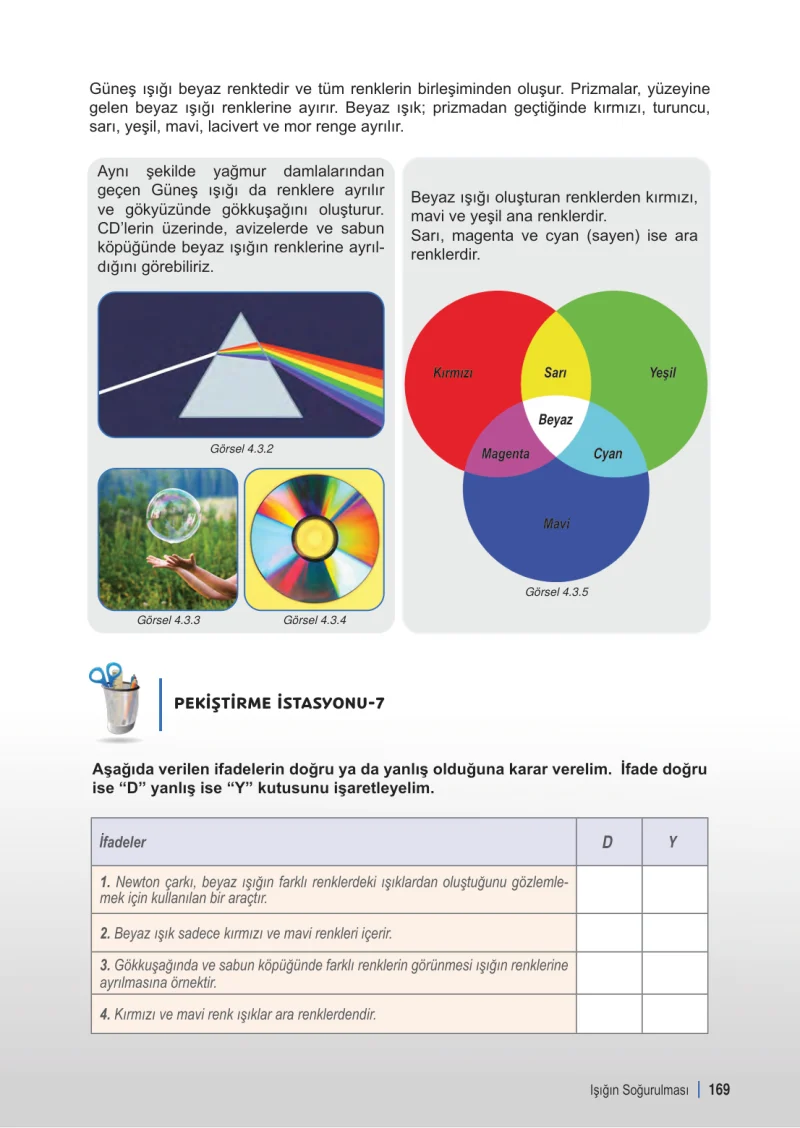 6. Sınıf Fen Bilimleri Ders Kitabı Cevapları Meb Yayınları 1. Kitap Sayfa 169