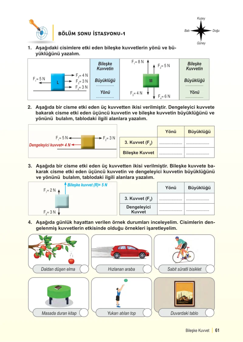 6. Sınıf Fen Bilimleri Ders Kitabı Cevapları Meb Yayınları 1. Kitap Sayfa 61