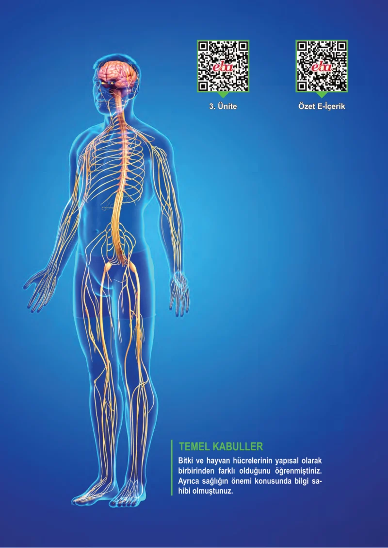 6. Sınıf Fen Bilimleri Ders Kitabı Cevapları Meb Yayınları 1. Kitap Sayfa 79