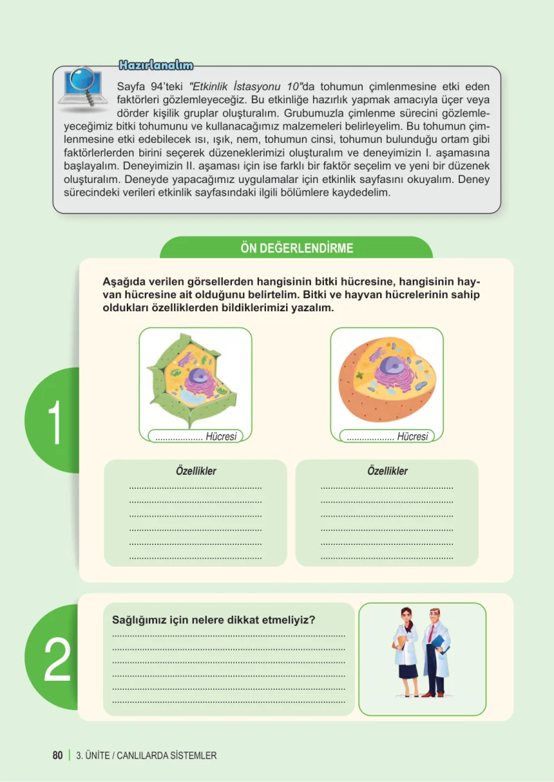 6. Sınıf Fen Bilimleri Ders Kitabı Cevapları Meb Yayınları 1. Kitap Sayfa 80
